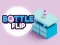 游戏Bottle Flip在线