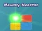 游戏Memory Maestro在线