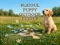 游戏Playful Puppy Outdoor Puzzle在线
