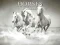 游戏Horses Puzzle在线