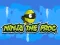 游戏Ninja the Frog在线