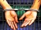 游戏Prison Escape 2022在线