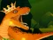 游戏The Dino King在线