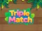游戏Triple Matched在线