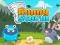 游戏Bunny Storm在线