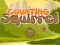 游戏Counting Squirrel在线