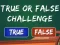 游戏 True Or False Challenge在线