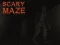 游戏Scary Maze在线