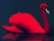 游戏Love Birds Puzzle在线