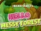 游戏Hidden Objects Hello Messy Forest在线