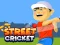 游戏Street Cricket在线