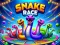 游戏Snake Race在线