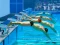 游戏Swimming Pool Race在线