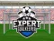 游戏Expert Goalkeeper在线