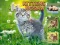 游戏Kittens Jigsaw在线