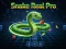游戏Snake Real Pro在线