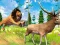 游戏Realistic Lion Hunting Animal 2024在线