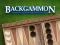 游戏Backgammon在线