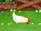 游戏Stupid Chicken在线