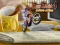 游戏Bike Mania 4 Micro Office在线