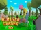 游戏Runner Garden 3d在线