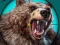 游戏Wild Bear Hunting在线