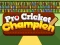 游戏Pro Cricket Champion在线