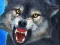 游戏Sniper Wolf Hunter在线