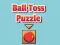 游戏Ball Toss Puzzle在线