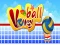 游戏Volley Ball在线