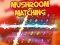 游戏Mushroom matching在线