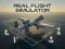 游戏Real Flight Simulator在线