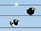 游戏Gone with the Birds在线