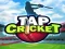 游戏Tap Cricket在线