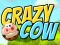 游戏Crazy Cow在线