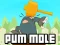 游戏Pum-Mole在线
