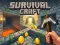 游戏Survival Craft在线