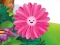 游戏Funny Flowers Jigsaw在线
