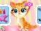游戏Pets Beauty Salon在线