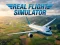 游戏Real Flight Simulator在线