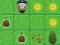 游戏Magic Seeds在线