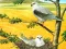 游戏Birds Of Prey Puzzle在线