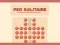 游戏Peg Solitaire在线