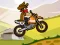 游戏Hill Climb Moto在线
