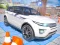 游戏Drive Car Parking在线