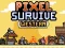 游戏Pixel Survive Western在线