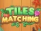 游戏Tiles Matching在线