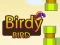 游戏Birdy Bird在线