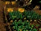 游戏Pixel Farm在线