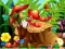 游戏Hidden Objects Insects在线
